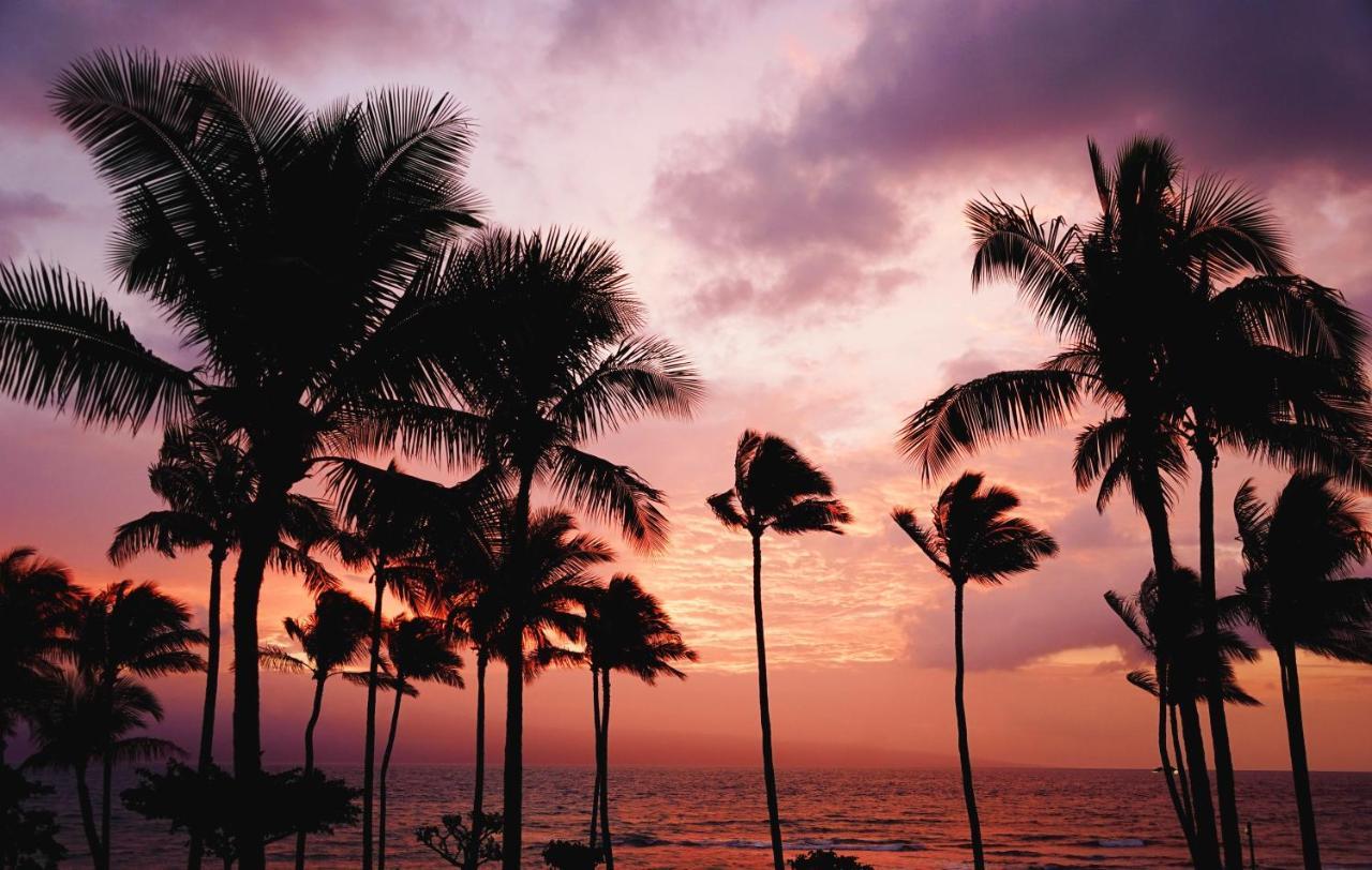 Free Parking, Pool, Sauna, Spa, Wifi, Bbq, Ac - Waikiki Banyan 호놀룰루 외부 사진