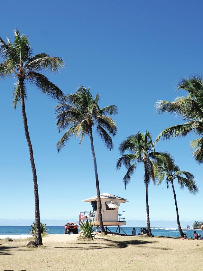 Free Parking, Pool, Sauna, Spa, Wifi, Bbq, Ac - Waikiki Banyan 호놀룰루 외부 사진